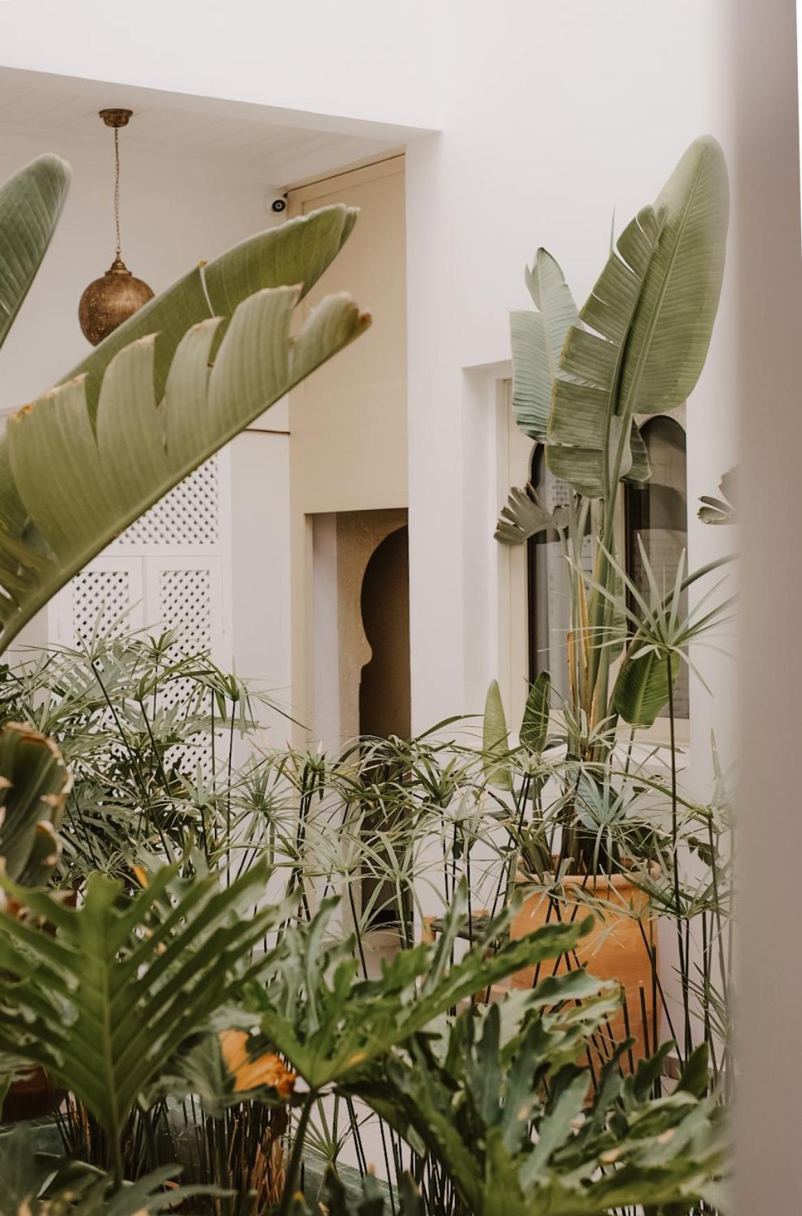 Riad Dar Blanche & Spa 马拉喀什 外观 照片